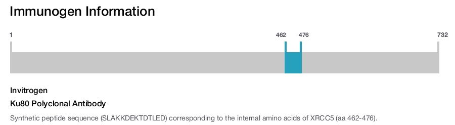 Ku80 Polyclonal Antibody