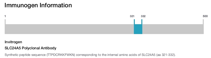 SLC24A5 Polyclonal Antibody