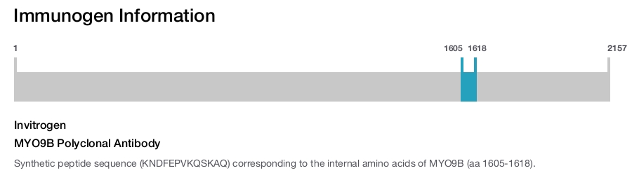 MYO9B Polyclonal Antibody
