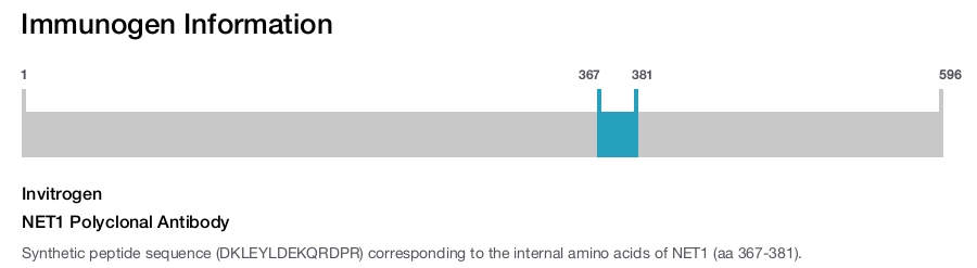 NET1 Polyclonal Antibody