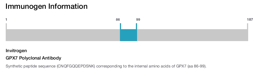 GPX7 Polyclonal Antibody