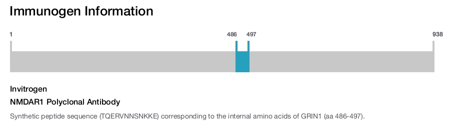 NMDAR1 Polyclonal Antibody