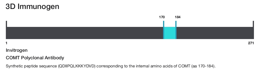 COMT Polyclonal Antibody