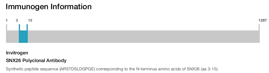 SNX26 Polyclonal Antibody