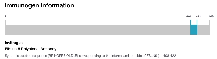 Fibulin 5 Polyclonal Antibody
