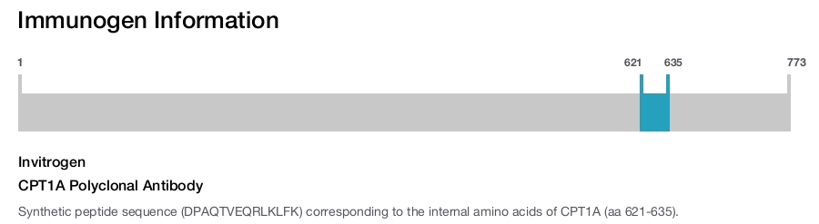 CPT1A Polyclonal Antibody