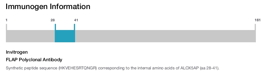 FLAP Polyclonal Antibody