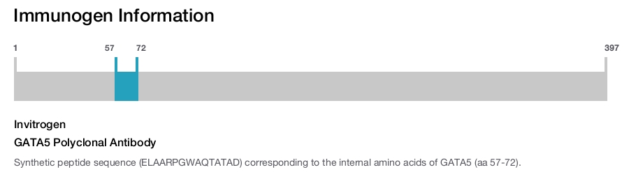 GATA5 Polyclonal Antibody