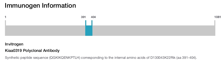Kiaa0319 Polyclonal Antibody