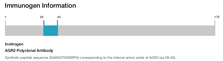 AGR2 Polyclonal Antibody
