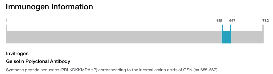 Gelsolin Polyclonal Antibody