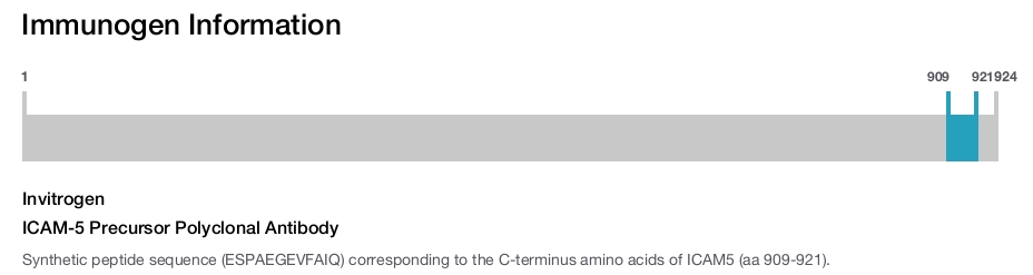 ICAM-5 Precursor Polyclonal Antibody
