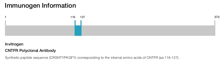CNTFR Polyclonal Antibody
