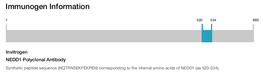 NEDD1 Polyclonal Antibody