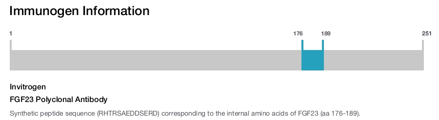 FGF23 Polyclonal Antibody