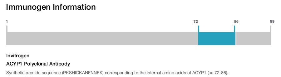 ACYP1 Polyclonal Antibody