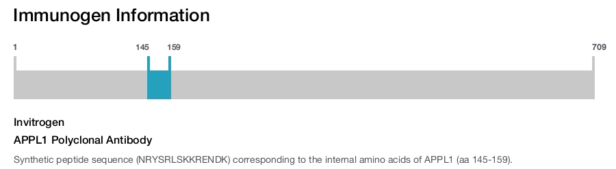 APPL1 Polyclonal Antibody