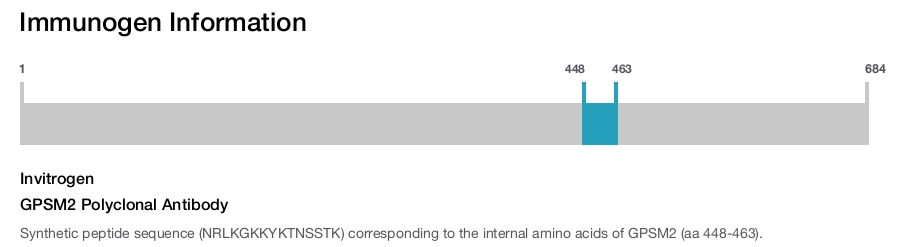 GPSM2 Polyclonal Antibody