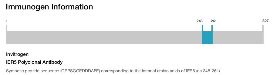 IER5 Polyclonal Antibody