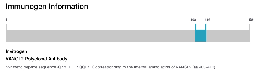 VANGL2 Polyclonal Antibody