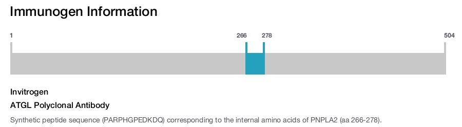 ATGL Polyclonal Antibody