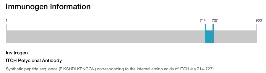 ITCH Polyclonal Antibody
