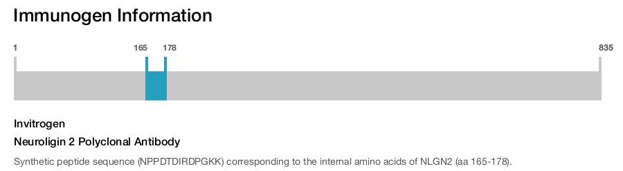 Neuroligin 2 Polyclonal Antibody