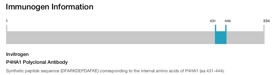 P4HA1 Polyclonal Antibody