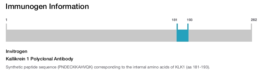 Kallikrein 1 Polyclonal Antibody
