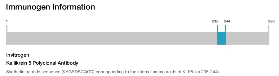 Kallikrein 5 Polyclonal Antibody