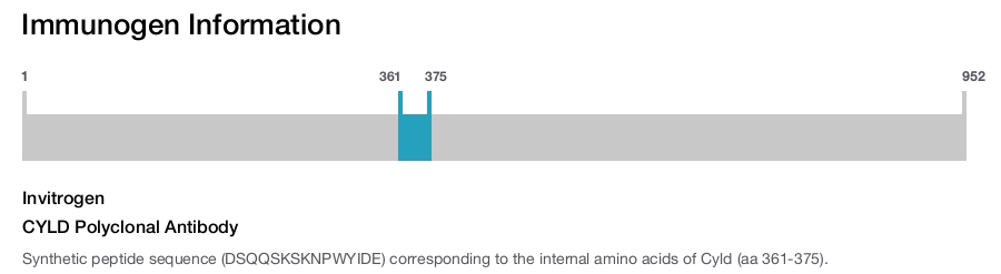 CYLD Polyclonal Antibody