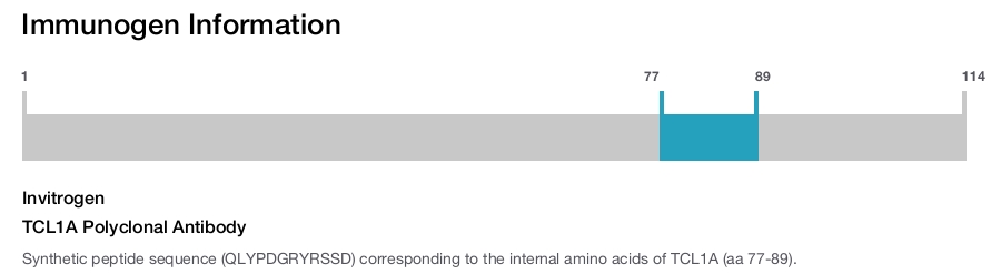 TCL1A Polyclonal Antibody