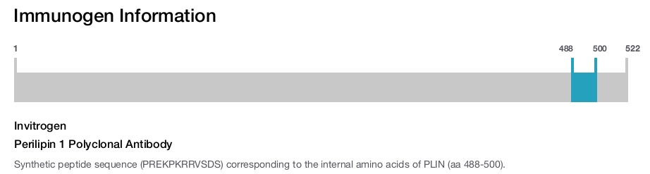Perilipin 1 Polyclonal Antibody
