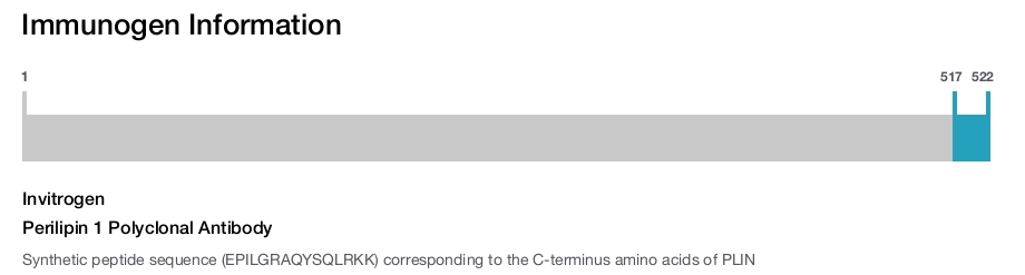 Perilipin 1 Polyclonal Antibody