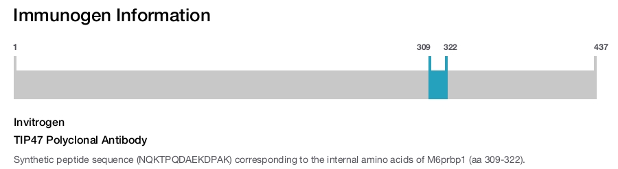 TIP47 Polyclonal Antibody
