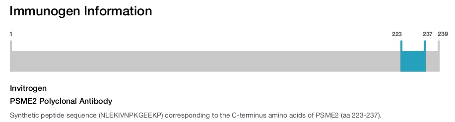 PSME2 Polyclonal Antibody