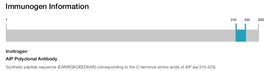 AIP Polyclonal Antibody