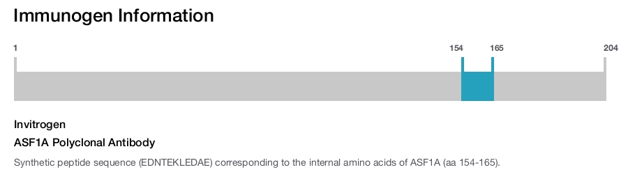 ASF1A Polyclonal Antibody
