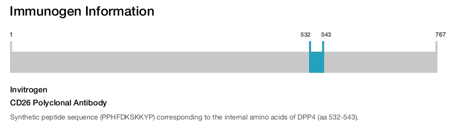 CD26 Polyclonal Antibody