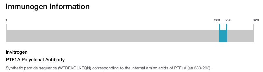 PTF1A Polyclonal Antibody