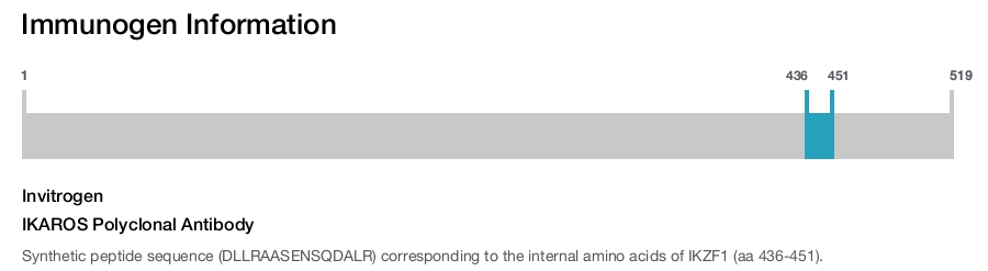 IKAROS Polyclonal Antibody