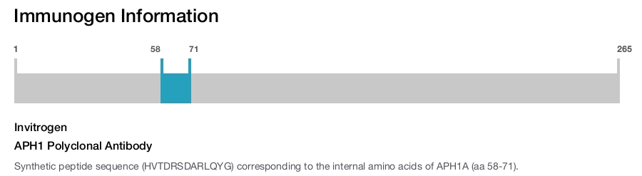 APH1 Polyclonal Antibody