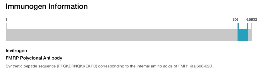 FMRP Polyclonal Antibody