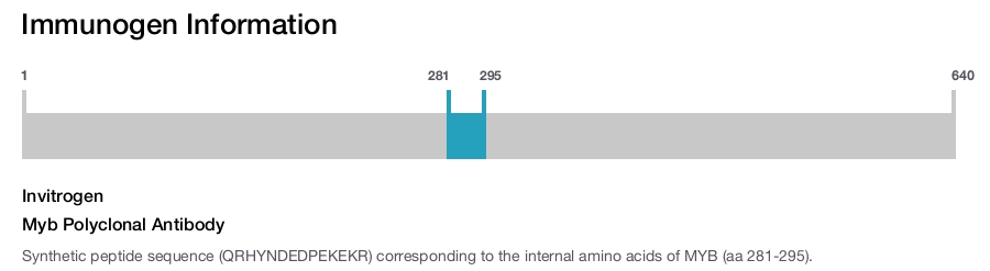 Myb Polyclonal Antibody