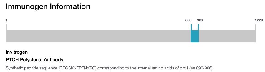PTCH Polyclonal Antibody