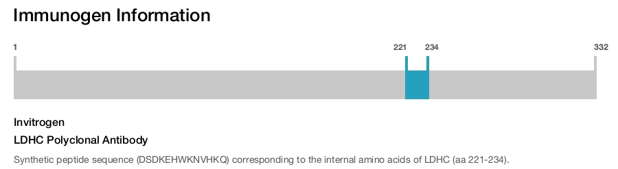 LDHC Polyclonal Antibody