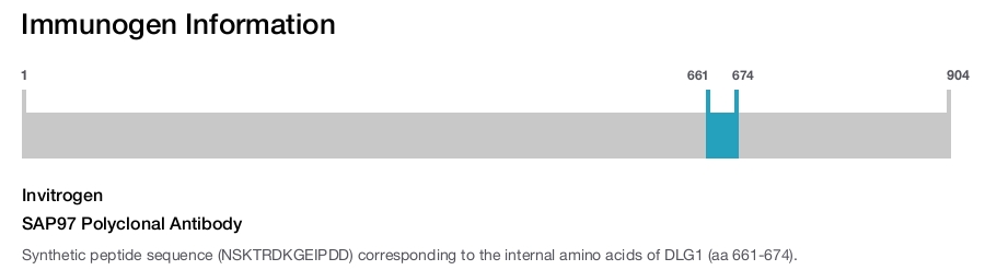 SAP97 Polyclonal Antibody