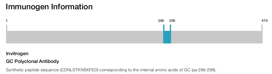 GC Polyclonal Antibody
