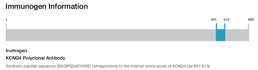 KCNQ4 Polyclonal Antibody