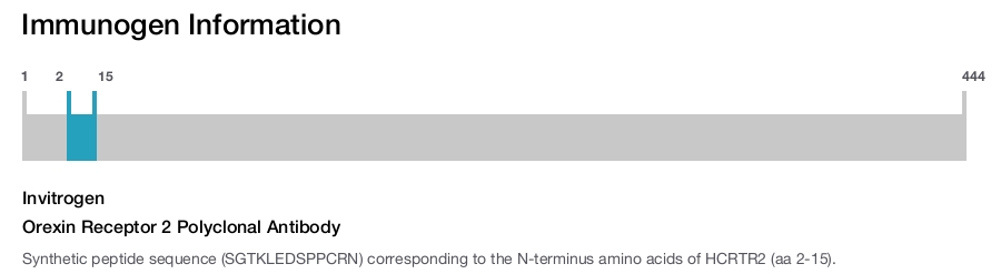 Orexin Receptor 2 Polyclonal Antibody